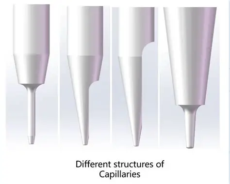 Different structures of capillaries